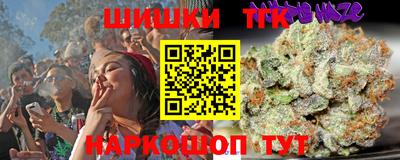 альфа пвп Новодвинск