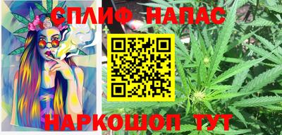 мдпв Обнинск