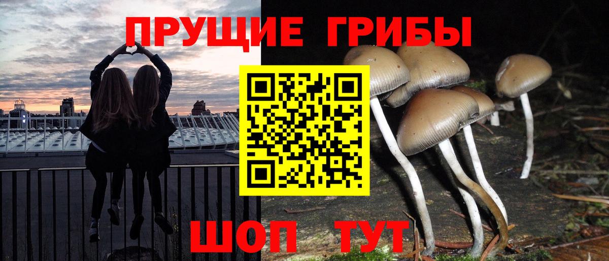 Галлюциногенные грибы MAGIC MUSHROOMS  Псилоцибиновые грибы мухоморы  Томск  Вход с VPN 