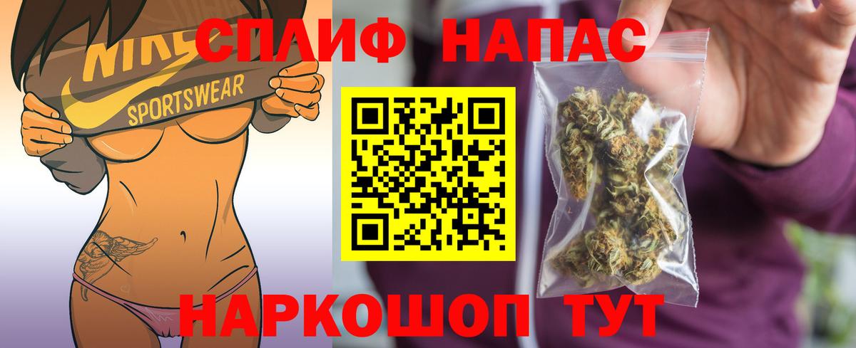 Бошки Шишки гибрид Томск